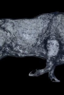 Фотография «Моло Алькосер Делано»