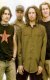 Фотография «Rage Against the Machine»