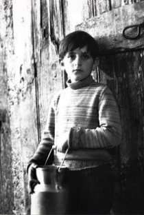 Фотография «Ален Коэн»