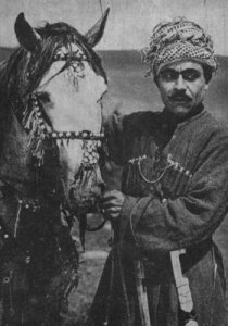Фотография «Михаил Гарагаш»