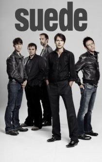 Фотография «Suede»