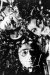 Фотография «Severed Heads»